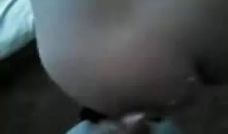 बिल्ली पहले व्यक्ति अंग्रेजी में सेक्सी पिक्चर ब्लू बनाया सुंदरता में लाल सुंदरता
